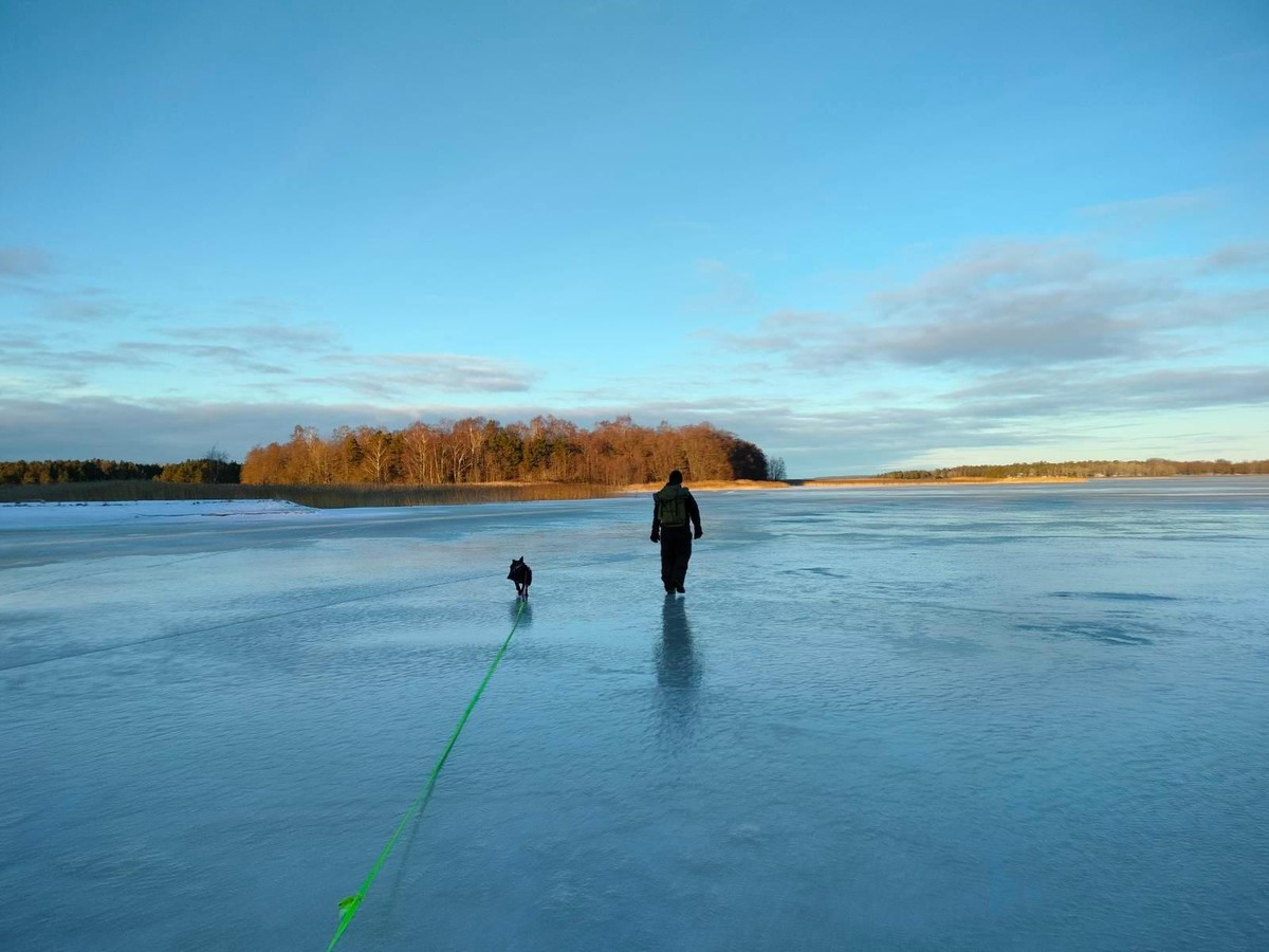 Photo of me and Zelda the dog walking across the ice in bay heading for a small Island lit up by sunlight under a blue sky.