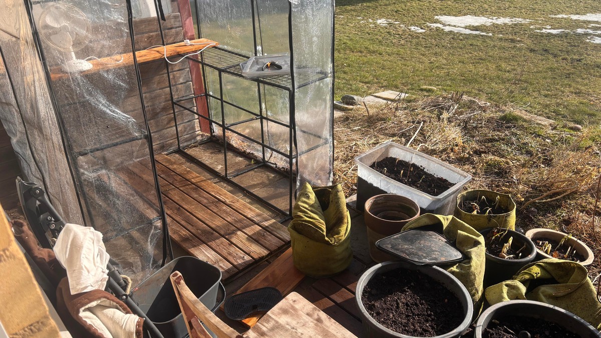 Photo of a balcony garden with a little greenhouse in a state of disorder as it gets a spring cleaning.
