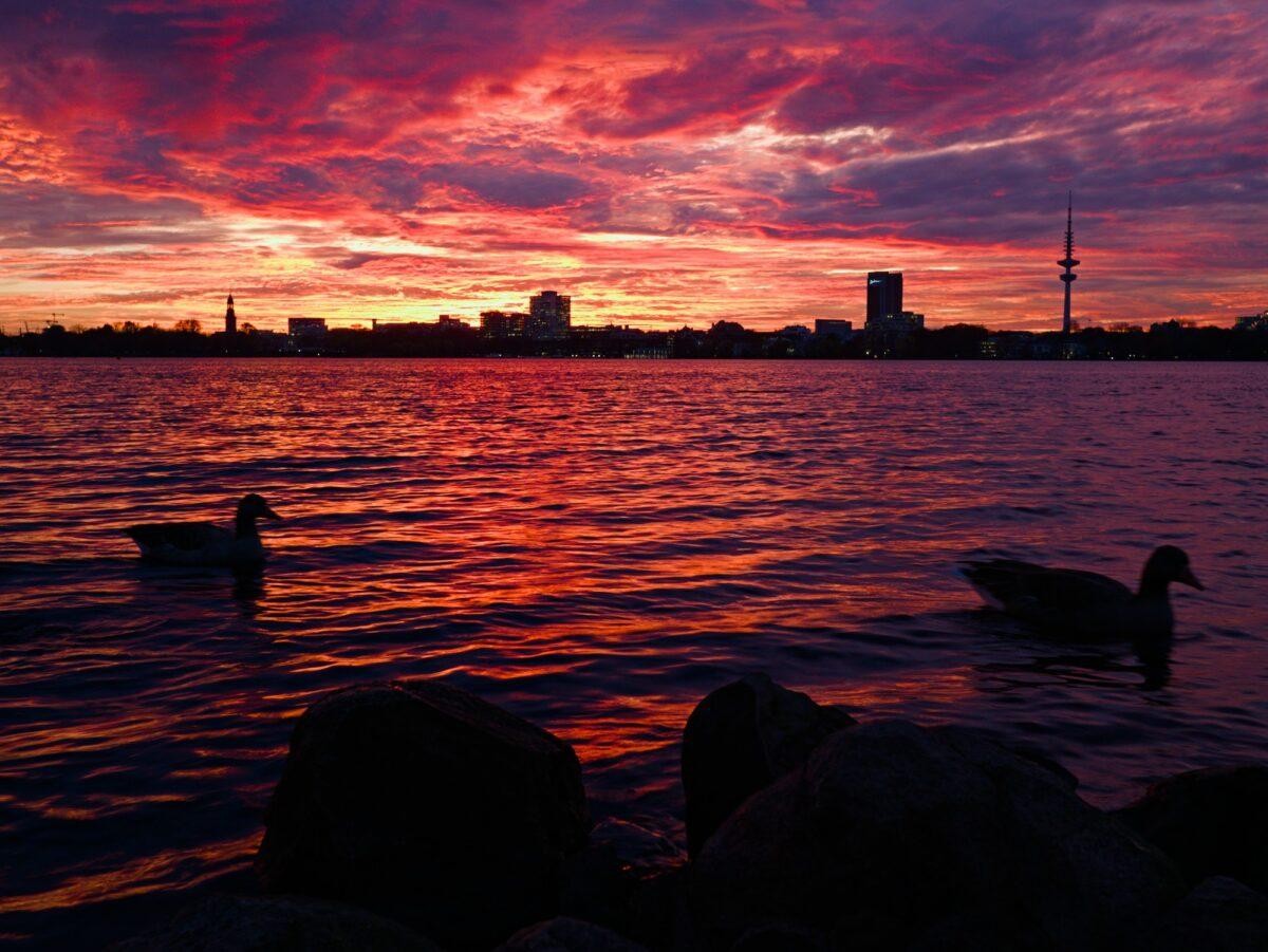 A sunset scene with colorful clouds in blue, purple, orange, and pink with a body of water in the foreground and city skyline between. The silhouettes of two geese are visible in the foreground