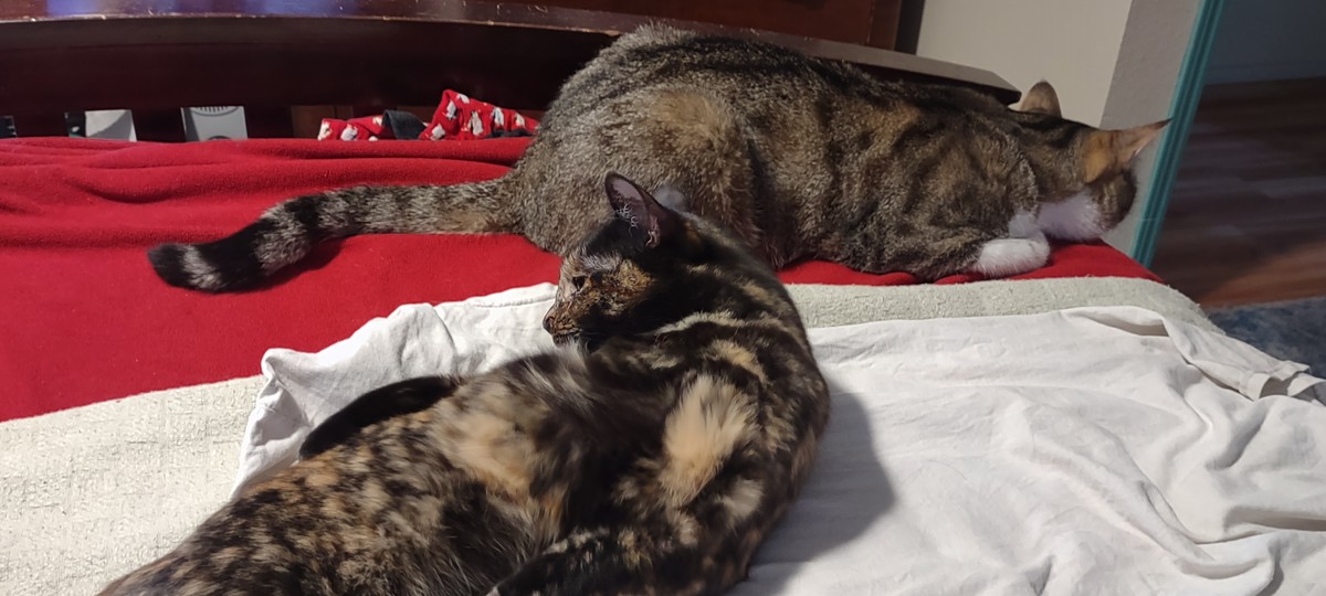 Even Supurrvisors have to do laundry sometimes