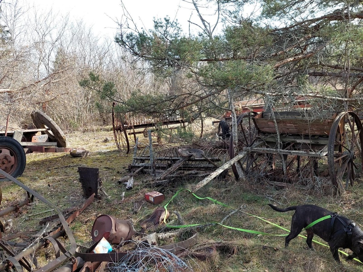 Photo of a lot of old trash rusting and polluting nature.