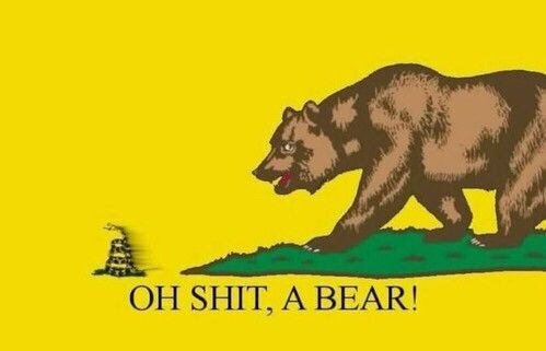 Gavin Newsom continues to troll Trump