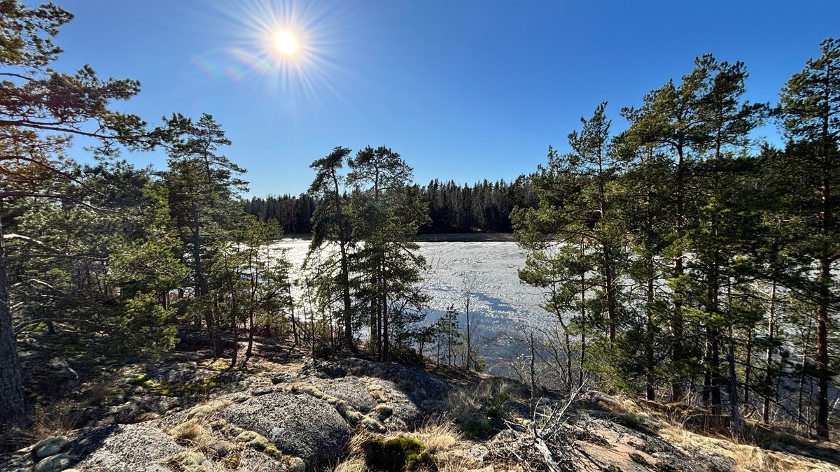 Photo of sunny blue skies from a cliff besides a small bay with a sparse cover of pines.