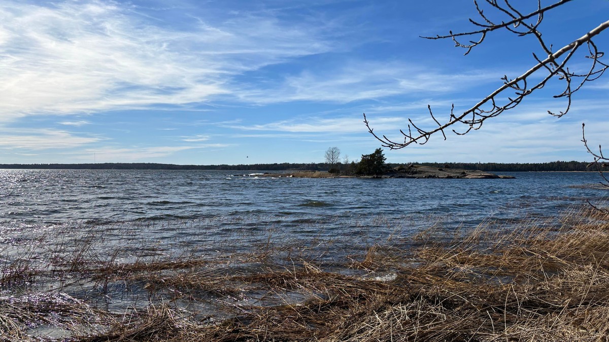 Landscape photo of a sliglty windy bay with a litte two-tree island close to the shore.