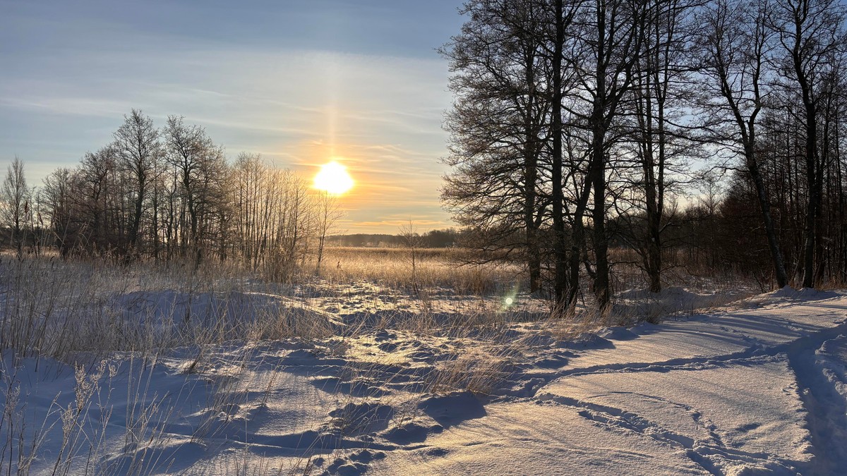 Photo of the sun shining low throug sparse cloud coverage over some reeds and trees in a snowy local reconstructed wetland and a trail of footprints through the snow on a path.